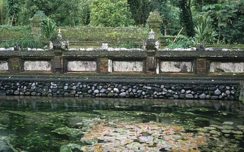 Sanctuary Exhibition, 2009