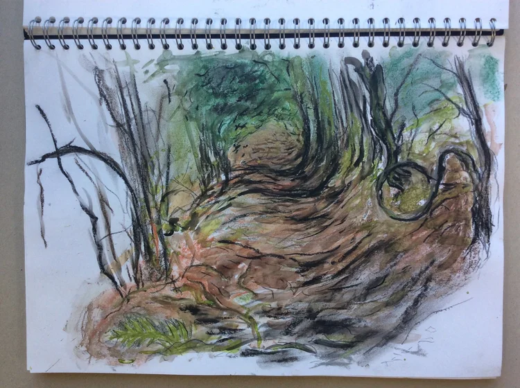Trees and Paths