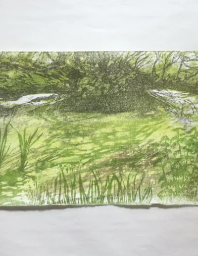 Birches pond