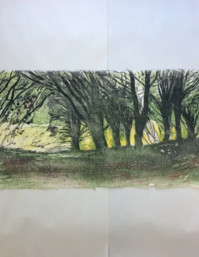 Coppice Field