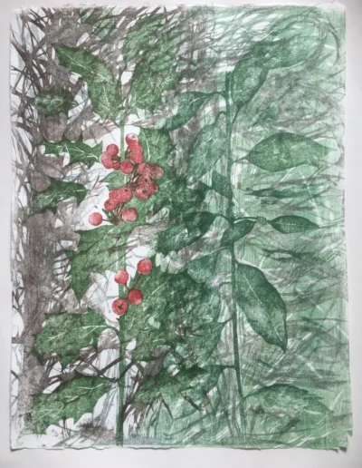 Holly Tinne