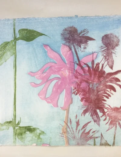 Magnolia Collage 1