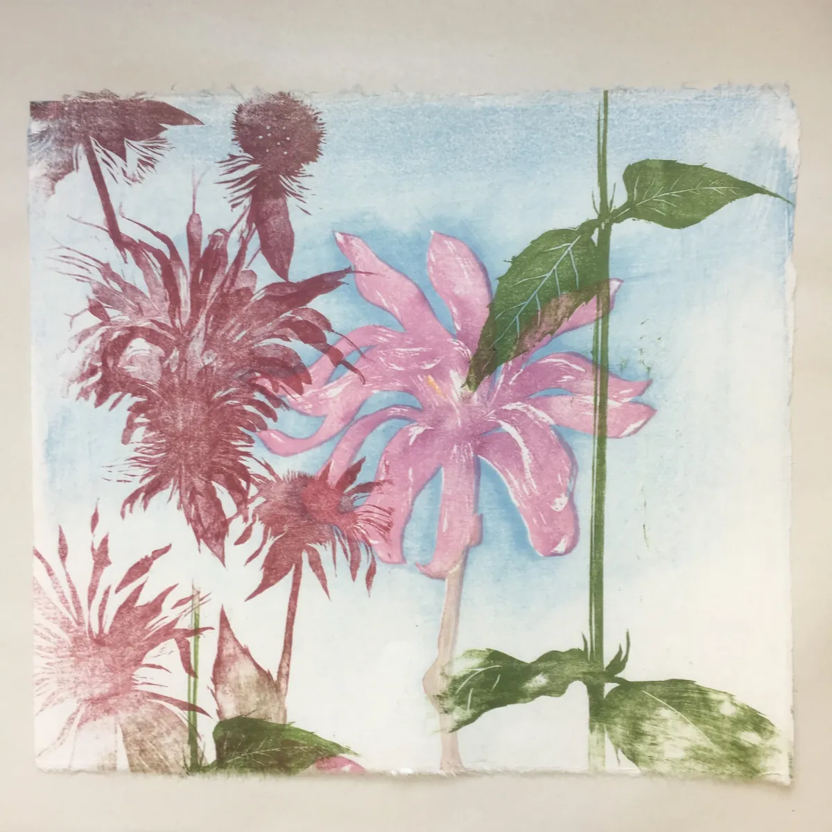 Magnolia Collage 2