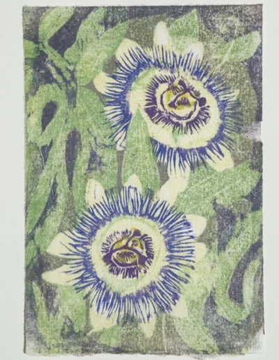 Passionflower