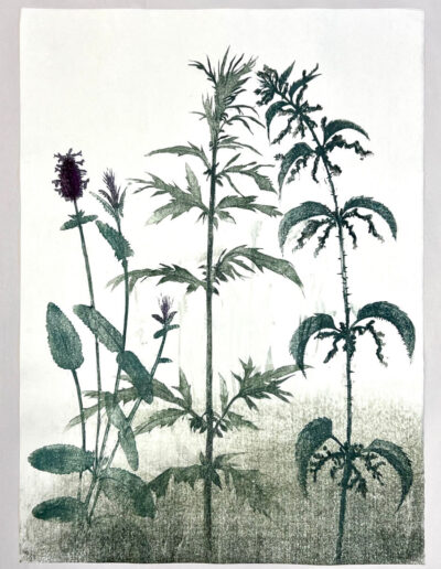 Nine herbs charm Woodblock print