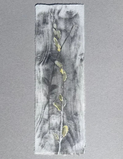 Willow Wand